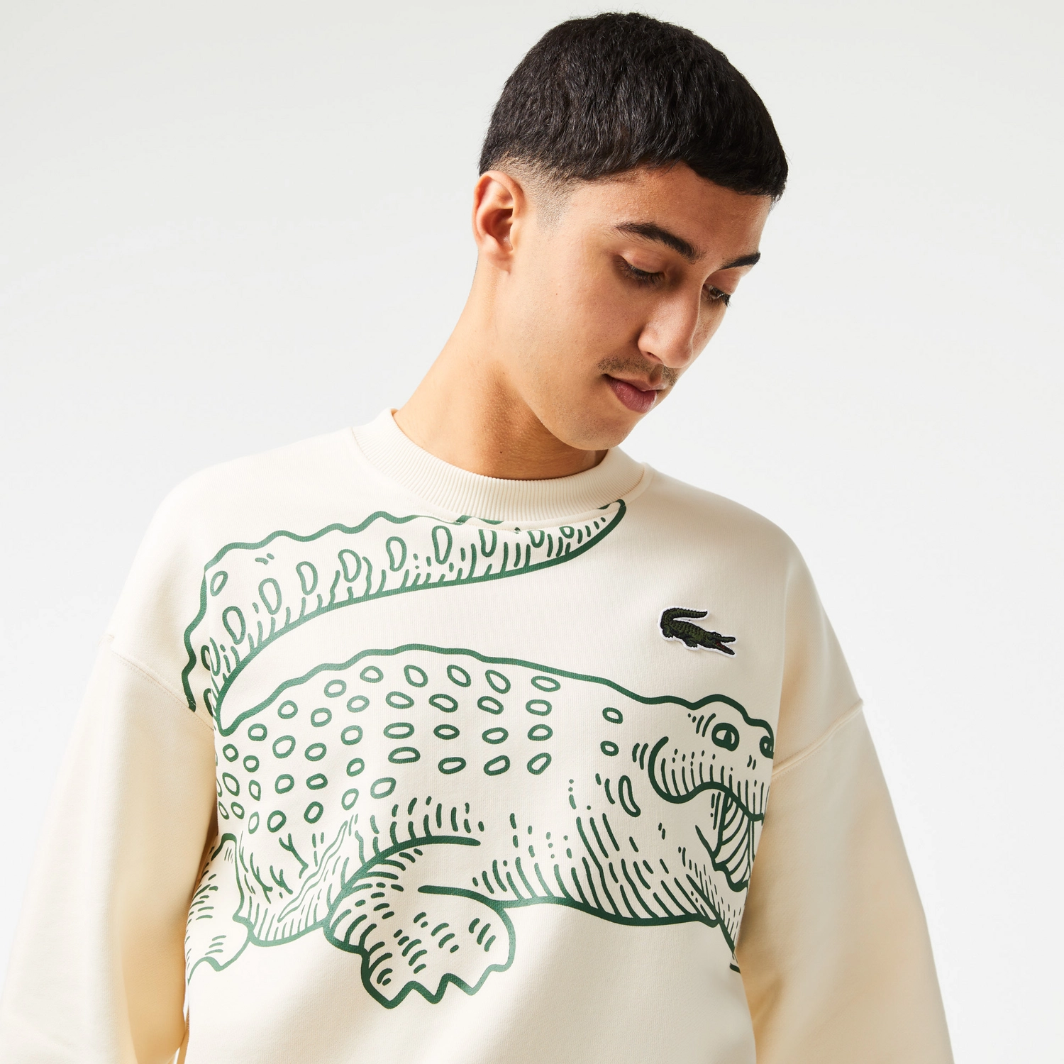 Pull Lacoste Homme SH8248 Lapland